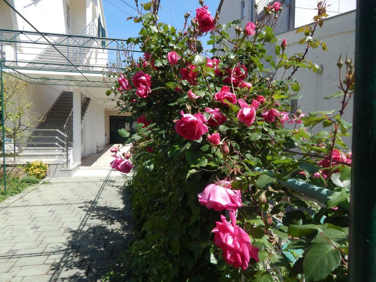 Lemon Tree Apartments Zadar Exterior foto